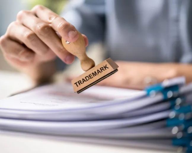 Solution Visualization