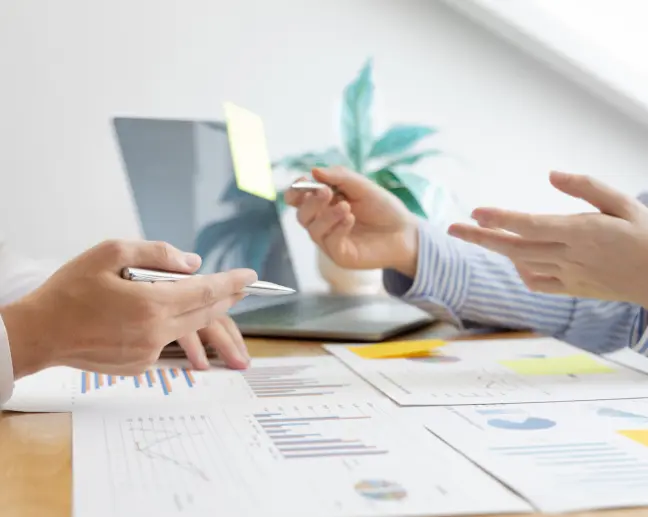 Solution Visualization