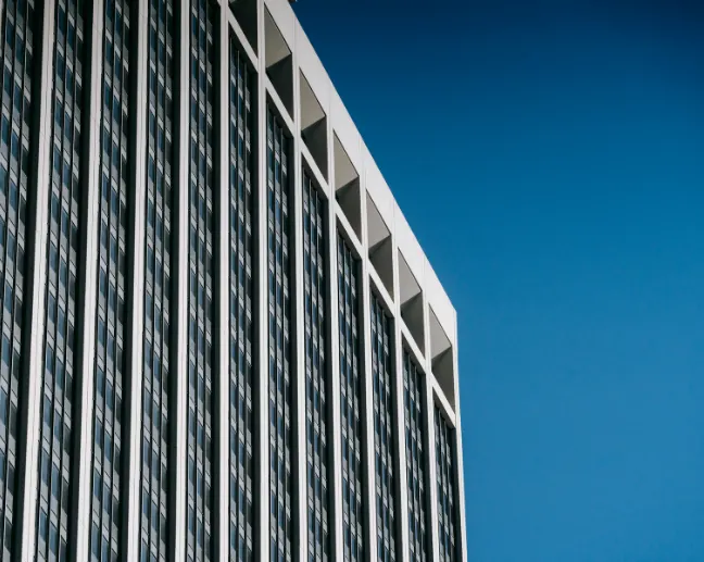 Solution Visualization